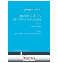 Manuale di diritto dell'Unione Europea v