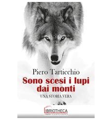 SONO SCESI I LUPI DAI MONTI
