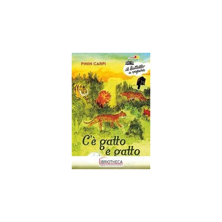 C' GATTO E GATTO