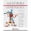 ANATOMIA COMPARATA