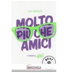 MOLTO PIÙ CHE AMICI. IL ROMANZO DI AMIC