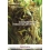 FONDAMENTI DI PATOLOGIA VEGETALE