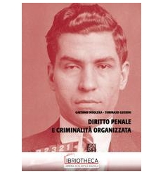 DIRITTO PENALE E CRIMINALITA' ORGANIZZATA