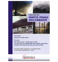 DIRITTO PENALE DELL'AMBIENTE - PARTE GENERALE: PRINC
