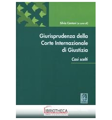GIURISPRUDENZA DELLA CORTE INTERNAZIONALE DI GIUSTIZ