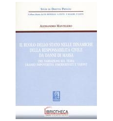 RUOLO DELLO STATO NELLE DINAMICHE DELLA RESPONSABILI