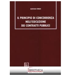 IL PRINCIPIO DI CONCORRENZA NELL'ESECUZIONE DEI CONT