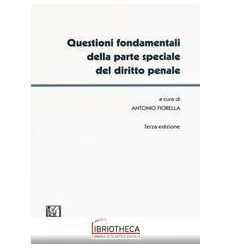 QUESTIONI FONDAMENTALI DELLA PARTE SPECIALE DEL DIRI