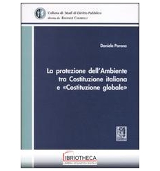 PROTEZIONE DELL'AMBIENTE TRA COSTITUZIONE ITALIANA E