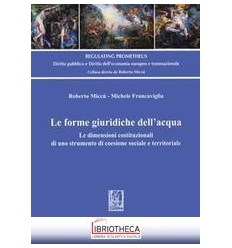 LE FORME GIURIDICHE DELL'ACQUA
