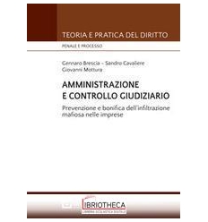 BRESCIA AMMINISTRAZIONE CONTROLLO