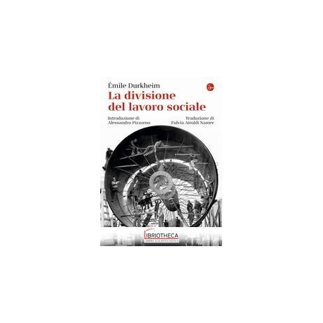 LA DIVISIONE DEL LAVORO SOCIALE