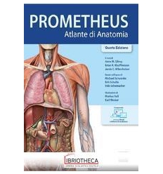 PROMETHEUS. ATLANTE DI ANATOMIA