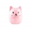 Happy Box Cancellotte LUCY Gatto
