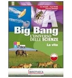 BIG BANG L'UNIVERSO DELLE SCIENZE A+B+C+D ED. MISTA