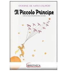 IL PICCOLO PRINCIPE
