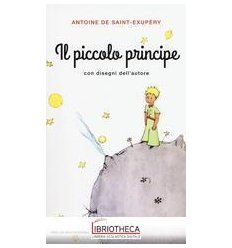 IL PICCOLO PRINCIPE