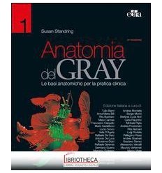 ANATOMIA DEL GRAY 41 EDIZ 2017 VOL.2