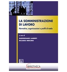 SOMMINISTRAZIONE LAVORO