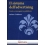 IL SISTEMA DELL'ADVERTISING