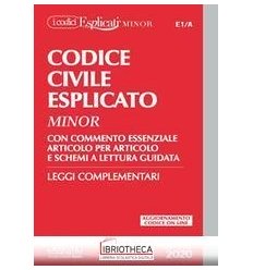 CODICE CIVILE ESPLICATO