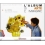 L'ALBUM DI ARTE E IMMAGINE A + B + C +CD
