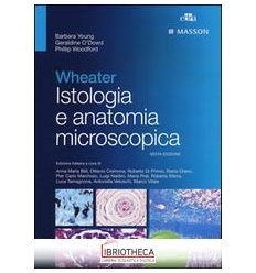 ISTOLOGIA ANATOMIA MICROSCOPICA