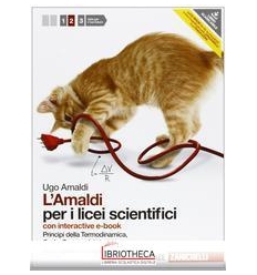 AMALDI PER I LICEI SCIENTIFICI 2