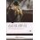 MISS MARPLE ALLA RISCOSSA