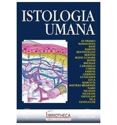 Istologia umana