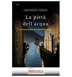 LA PIETÀ DELL'ACQUA
