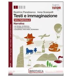 TESTI E IMMAGINAZIONE ED. MISTA