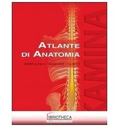 ATLANTE ANATOMIA