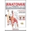 ANATOMIA FORZA E CONDIZIONAMENTO