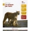LE SCIENZE PER TUTTI 3 ED.ONLINE 3