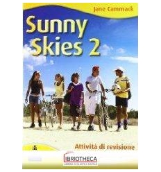 SUNNY SKIES 2