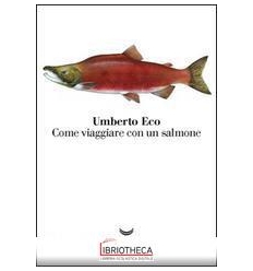 COME VIAGGIARE CON UN SALMONE