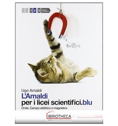AMALDI PER I LICEI SCIENTIFICI BLU 2