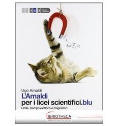AMALDI PER I LICEI SCIENTIFICI BLU 2