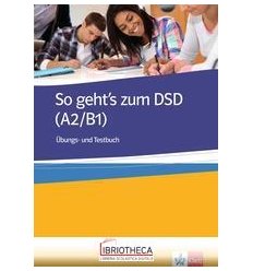 SO GEHT'S ZUM DSD A2/B1 1