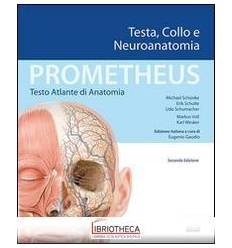 Prometheus - Testa, Collo e Neuroanatomi