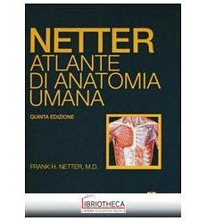 ATLANTE ANATOMIA UMANA