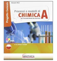 PROCESSI E MODELLI DI CHIMICA PROGETTO GENESIS A