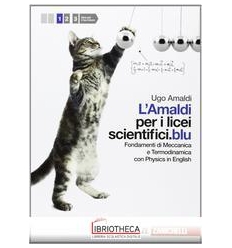 AMALDI PER I LICEI SCIENTIFICI BLU 1