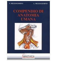 COMPENDIO DI ANATOMIA UMANA