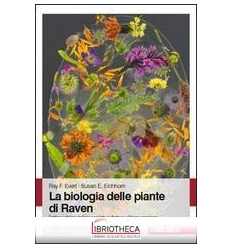 BIOLOGIA DELLE PIANTE ED.ONLINE