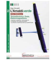AMALDI VERDE 2 ED. MISTA
