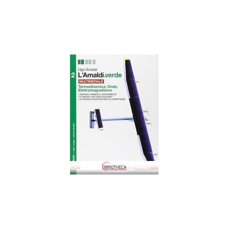 AMALDI VERDE 2 ED. MISTA