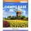 CAMPO BASE 2 ED. MISTA 2