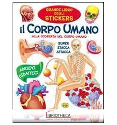 CORPO UMANO STICKERS